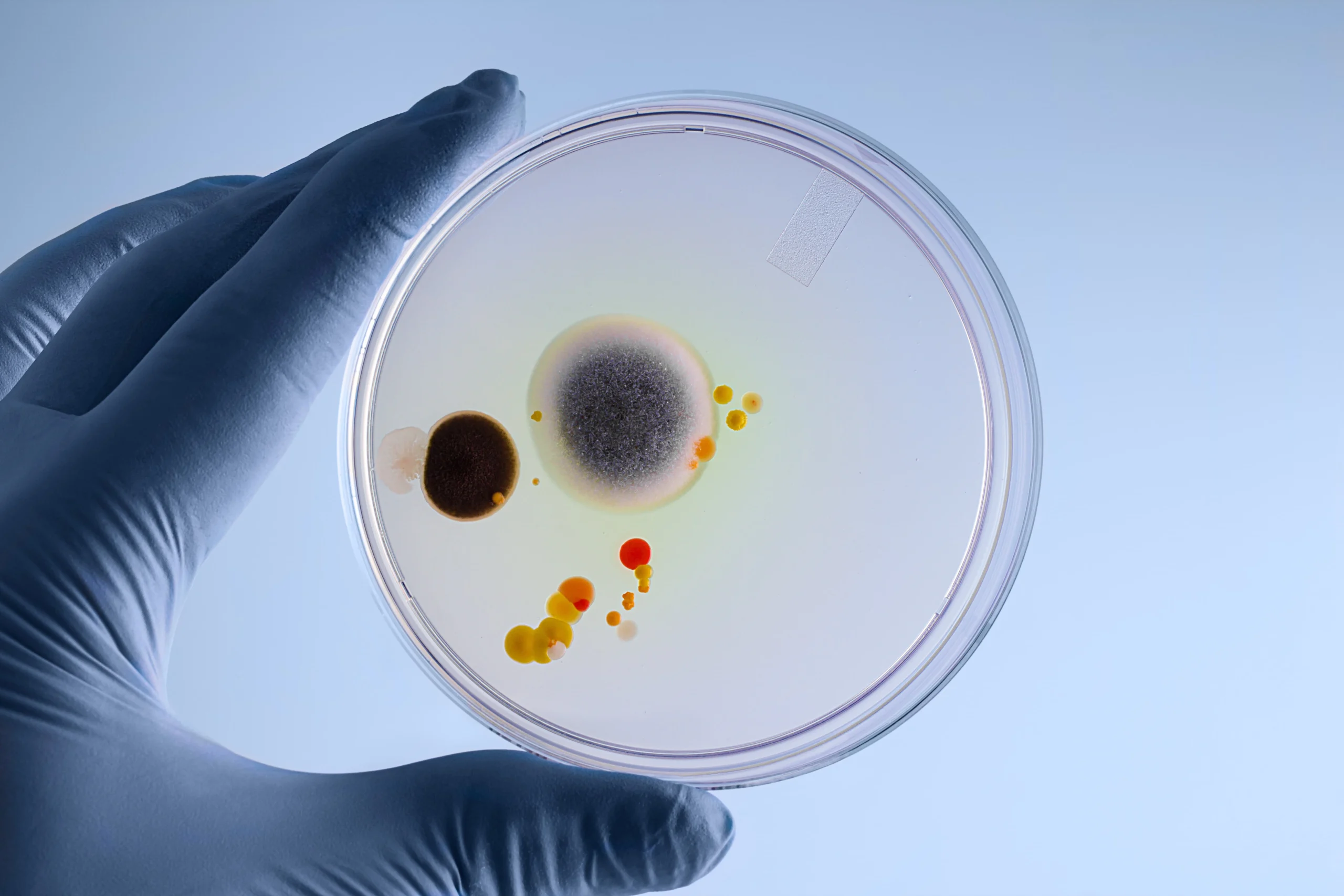 Clear Home Bio Testing Home Inspections